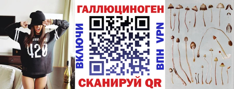 купить закладку  darknet клад  Псилоцибиновые грибы Cubensis  Нестеров 